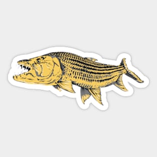 Tigerfish Sticker